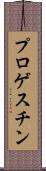 プロゲスチン Scroll