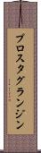 プロスタグランジン Scroll