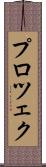 プロツェク Scroll