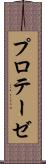 プロテーゼ Scroll