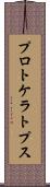 プロトケラトプス Scroll