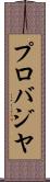 プロバジヤ Scroll