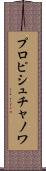プロピシュチャノワ Scroll