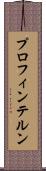 プロフィンテルン Scroll