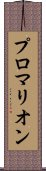 プロマリオン Scroll
