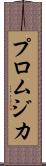 プロムジカ Scroll
