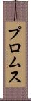 プロムス Scroll