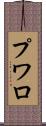 プワロ Scroll