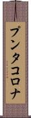 プンタ・コロナ Scroll