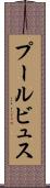 プールビュス Scroll