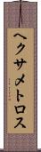 ヘクサメトロス Scroll