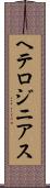 ヘテロジニアス Scroll