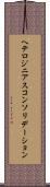 ヘテロジニアスコンソリデーション Scroll