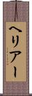 ヘリアー Scroll