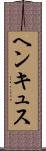 ヘンキュス Scroll
