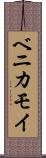 ベニカモイ Scroll