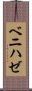 ベニハゼ Scroll