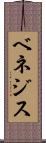 ベネジス Scroll