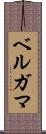 ベルガマ Scroll
