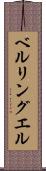 ベルリングエル Scroll