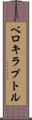 ベロキラプトル Scroll