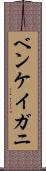 ベンケイガニ Scroll