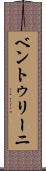 ベントゥリーニ Scroll