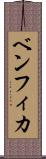 ベンフィカ Scroll