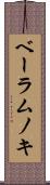 ベーラムノキ Scroll