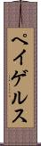 ペイゲルス Scroll