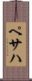 ペサハ Scroll