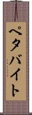 ペタバイト Scroll