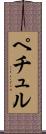 ペチュル Scroll