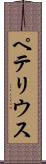 ペテリウス Scroll