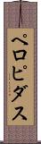 ペロピダス Scroll