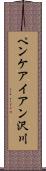 ペンケアイアン沢川 Scroll