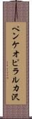 ペンケオピラルカ沢 Scroll