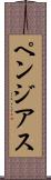 ペンジアス Scroll