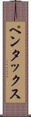 ペンタックス Scroll