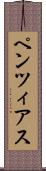 ペンツィアス Scroll