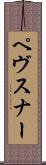 ペヴスナー Scroll