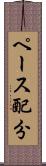 ペース配分 Scroll