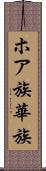 ホア族 Scroll