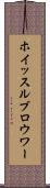 ホイッスルブロウワー Scroll