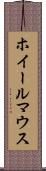 ホイールマウス Scroll