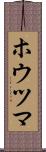 ホウツマ Scroll