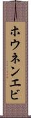 ホウネンエビ Scroll