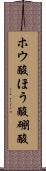 ホウ酸 Scroll