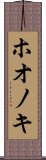 ホオノキ Scroll