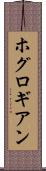 ホグロギアン Scroll